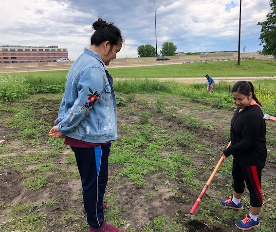 Community Producers Program Garden Managers